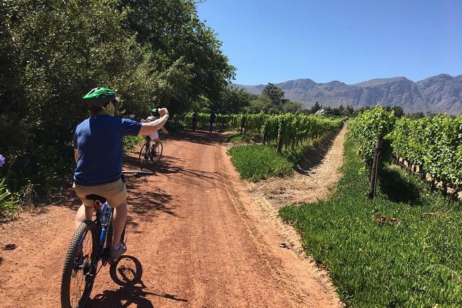 Franschhoek Cycle & Tasting Experience 4hr (Shared) - Key points at a glance