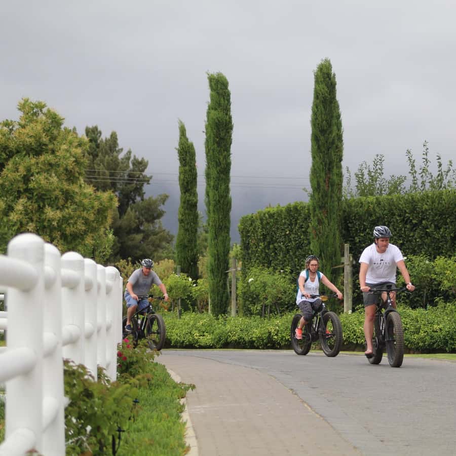 Franschhoek: E-Bike Guided Winery Tour - The first ride through village and vineyard country