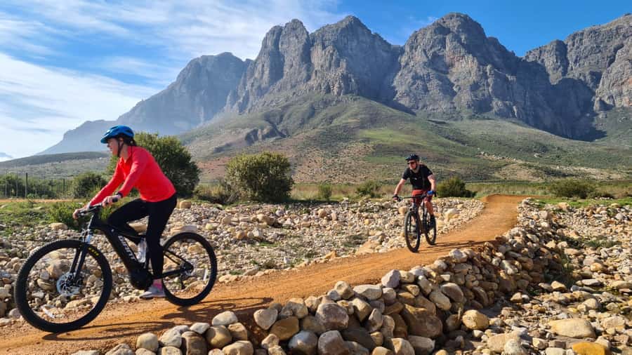 Franschhoek: E-bike Tour with Wine Tasting and Lunch - Who Should Book This Ride?