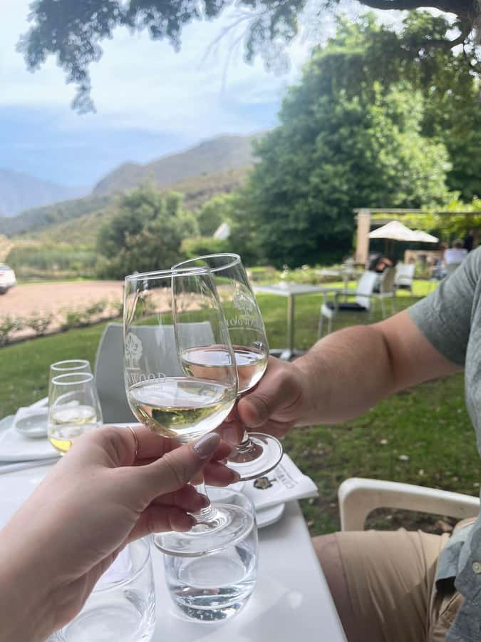Franschhoek E-Bike & Wine Tour - Key points to know before booking