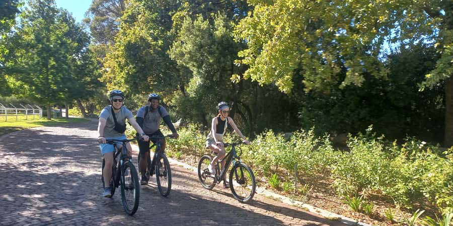 Franschhoek E-Bike & Wine Tour - Wildeberg Wines: the first two hours