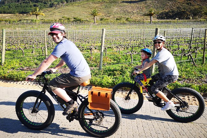Franschhoek E-Bike Wine Tour (Half Day) - Key points to know before you book