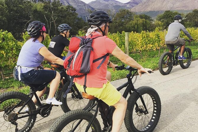 Franschhoek E-Bike Wine Tour (Half Day) - Price and what the $69.26 covers