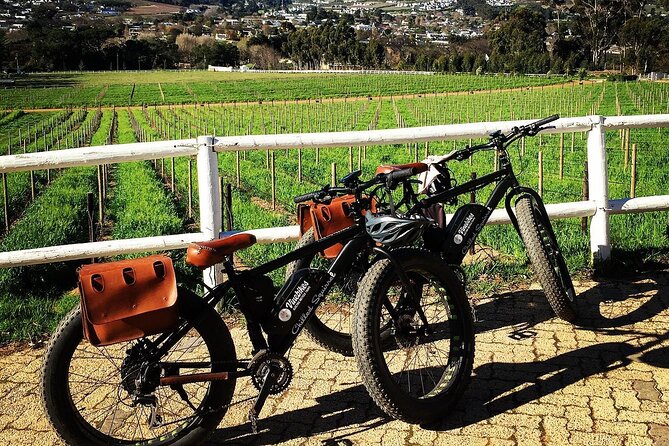 Franschhoek E-Bike Wine Tour (Half Day) - Weather, cancellation, and who should choose it