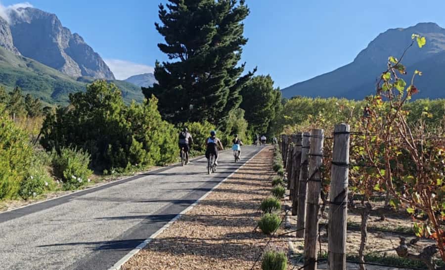 Franschhoek: E-Bike & Wine Tour (Shared Tour) - Key Points at a Glance