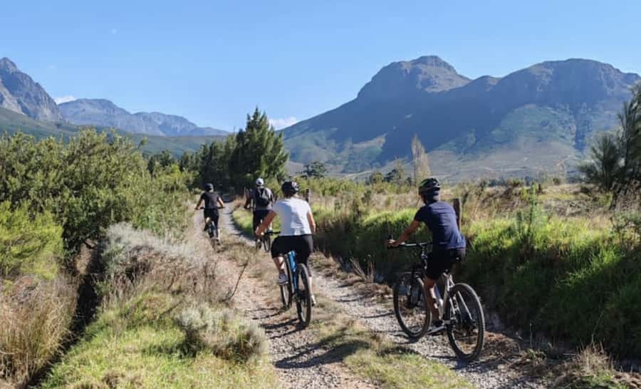 Franschhoek: E-Bike & Wine Tour (Shared Tour) - Riding Through the Historic Valley