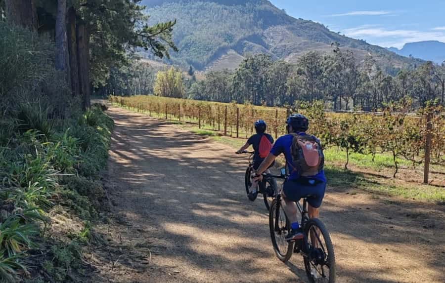 Franschhoek: E-Bike & Wine Tour (Shared Tour) - The Winery Stops and Wine Tastings