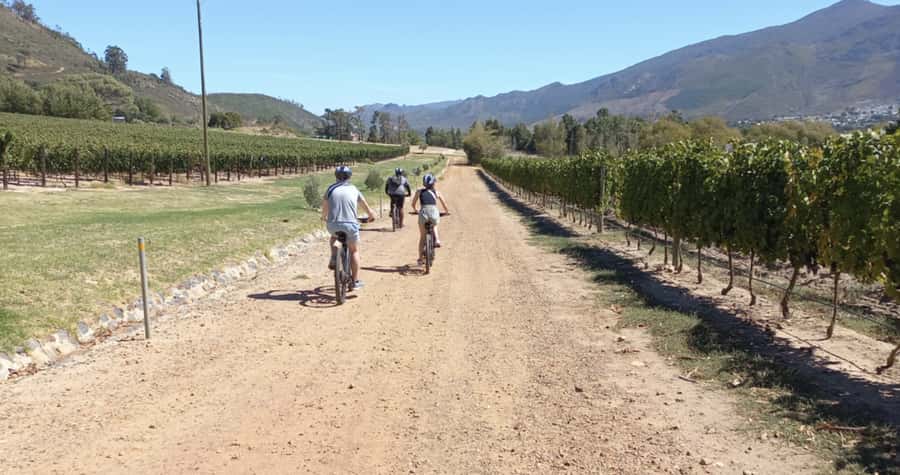 Franschhoek: E-Bike & Wine Tour (Shared Tour) - Views, Cellars, and the Feel of the Day