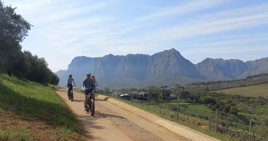 Franschhoek: E-Bike & Wine Tour (Shared Tour) - Who Will Enjoy This Tour Most?