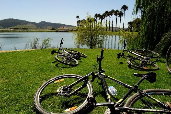 Franschhoek Half Day Winelands Mountain Bike Tour - Why cycling is a smart way to see Franschhoek