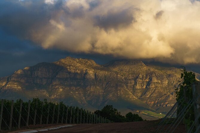 Franschhoek Half Day Winelands Mountain Bike Tour - Is $79.93 a good price?