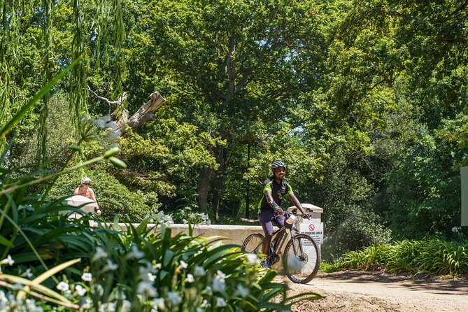 Franschhoek Half Day Winelands Mountain Bike Tour - Should you choose a standard bike or an e-bike?