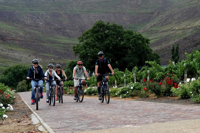 Franschhoek Half Day Winelands Mountain Bike Tour - Who will enjoy this half-day tour most?