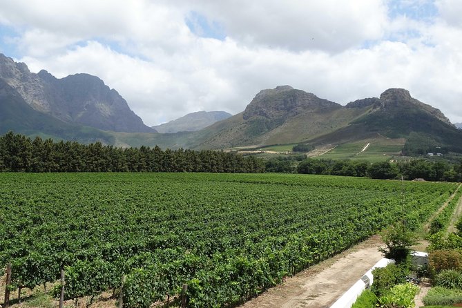 Franschhoek Half Day Winelands Mountain Bike Tour - Meeting at Rickety Bridge at 10:00 a.m.