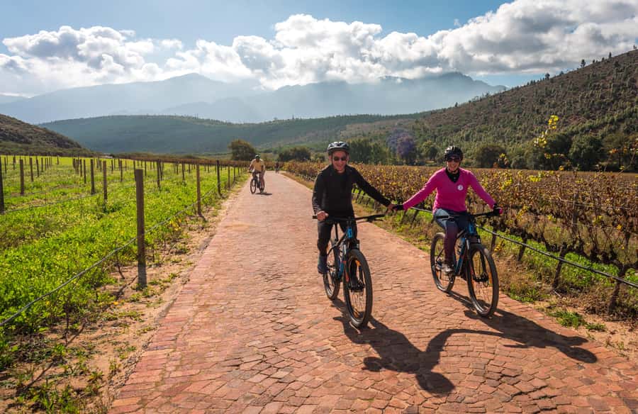 Franschhoek: Private E-bike Ride & Wine Experience - Why this Franschhoek tour works so well