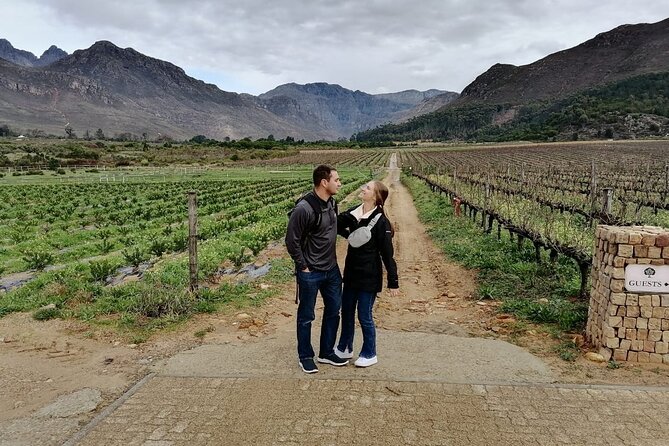 Franschhoek Shared E-Bike and Wine Tour - Meeting at Fabriek Street, with one detail to confirm