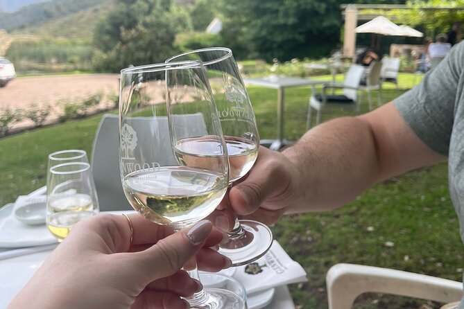 Franschhoek Shared E-Bike and Wine Tour - Riding through the valley to Wildeberg Wines