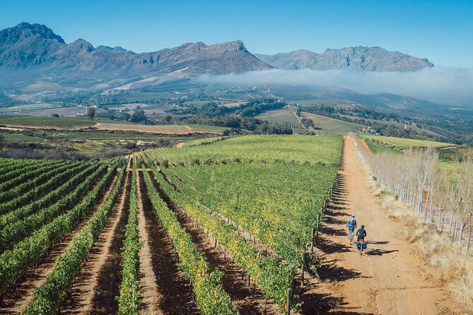 Franschhoek Sip & Cycle Experience Full Day - Private Tour - Cellar tours that add meaning to the tastings
