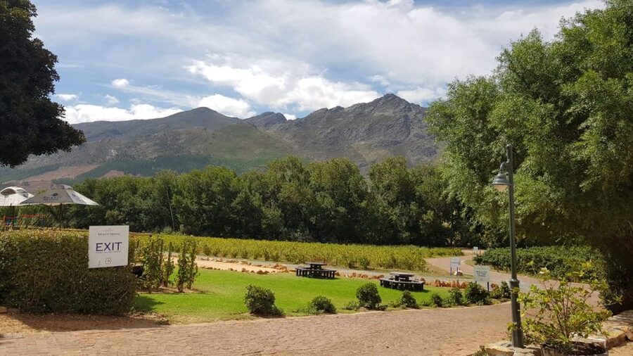 Franschhoek & Stellenbosch: Full-Day Wine Tour - Key points at a glance