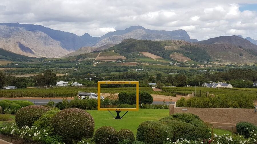Franschhoek & Stellenbosch: Full-Day Wine Tour - The guide can make or break the experience
