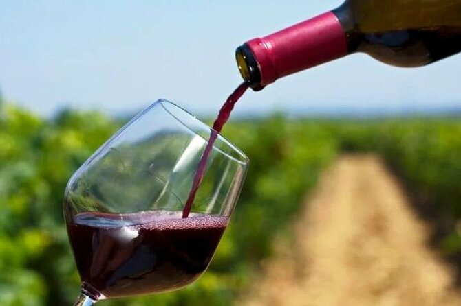 Franschhoek Wine Tram Hop On Hop Off Tour - Paul Polano’s role in the day