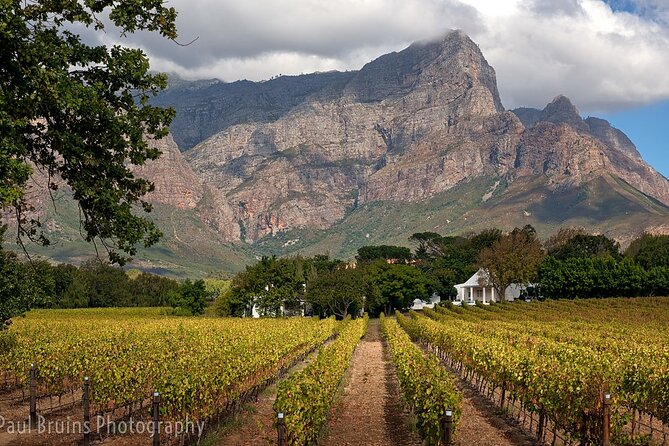 Franschhoek Wine Tram Hop-On Hop-Off Tour from Cape Town. - Leaving Cape Town for Franschhoek