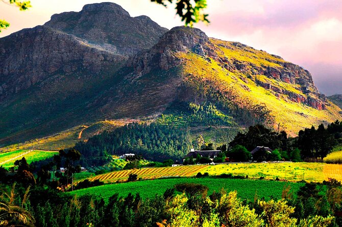 Franschhoek Wine Tram Hop-On Hop-Off Tour from Cape Town. - Practical planning for an eight-hour outing