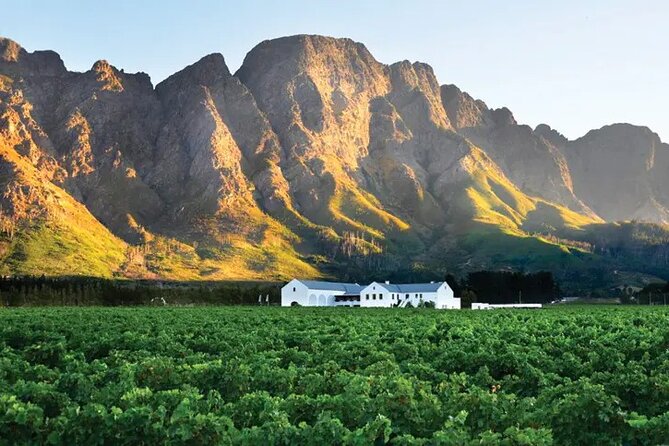 Franschhoek Wine Tram Hop-On Hop-Off Tour from Cape Town. - Choosing between the two advertised routes
