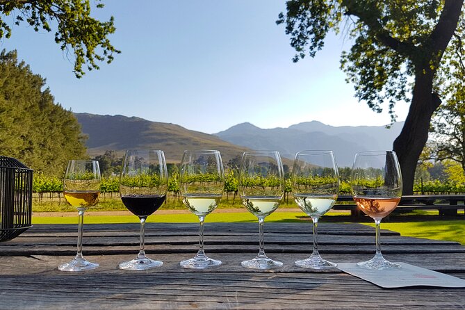 Franschhoek wine Tram & Stellenbosch Town Full day tour - Tokara brings a modern change of mood