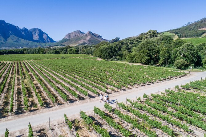 Franschhoek Wine Walk with Lunch - Why This Franschhoek Walk Feels Different