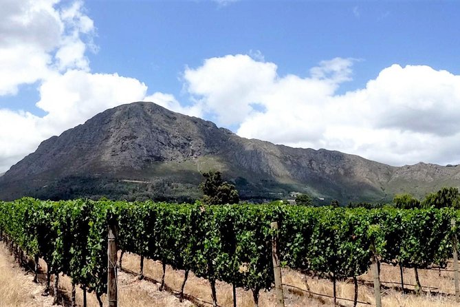 Franschhoek Winelands Luxury EBike Tour - Key details before you book