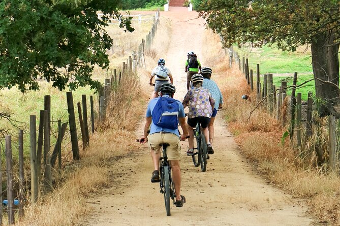 Franschhoek Winelands Luxury EBike Tour - The Huguenot monument adds cultural context