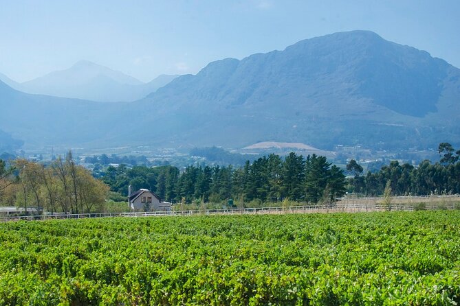 Franschhoek Winelands Luxury EBike Tour - Is $152.67 a fair price?