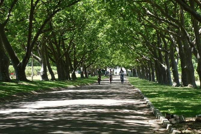Franschhoek Winelands Luxury EBike Tour - La Bri Estate and a quieter side of the valley