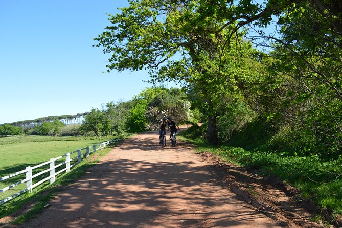 Franschhoek Winelands Meander © - La Bri: wine with a strong Cape connection
