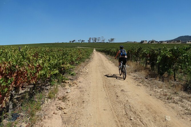 Franschhoek Winelands Meander © - Three tastings and a pairing, not just a quick sip