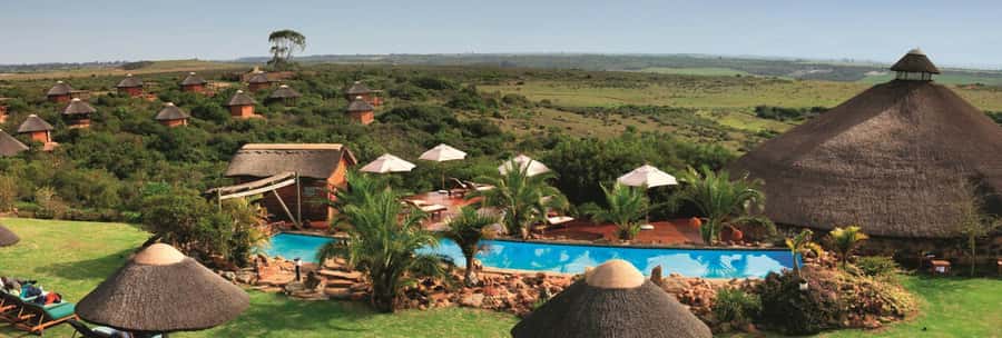 From Cape Town: 2-Day Safari at Garden Route Game Lodge - Hermanus and Betty’s Bay add coastal variety
