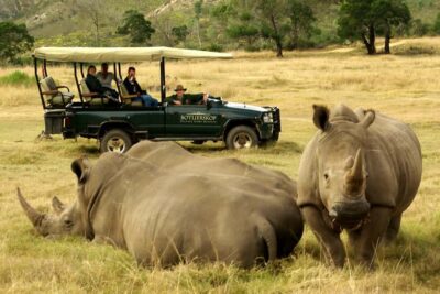 3-Day Garden Route Highlights and 4×4 Safari