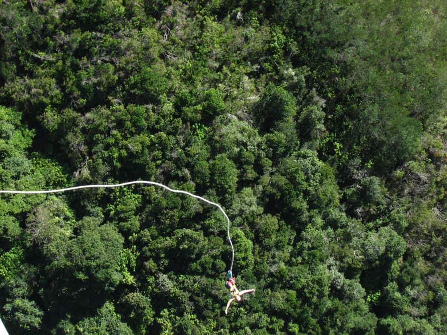 From Cape Town: 3-Day Garden Route Highlights and 4x4 Safari - Day 3: A malaria-free safari at Botlierskop