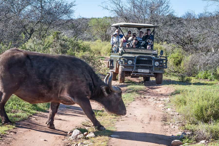 From Cape Town: 3-Day Garden Route Highlights and 4x4 Safari - What the long drives feel like