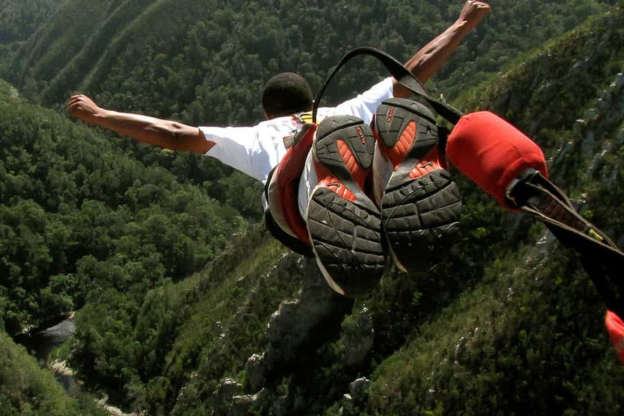 From Cape Town: 3-Day Garden Route Highlights and 4x4 Safari - Who should book this tour?