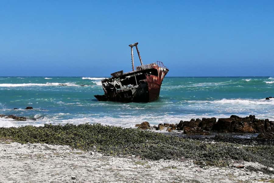 From Cape Town: 3-Day Garden Route Safari and Coastal Tour - The Garden Route Game Lodge safari