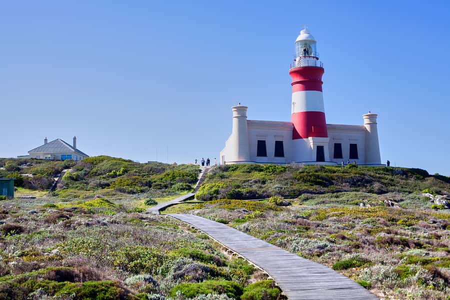 From Cape Town: 3-Day Garden Route Safari and Coastal Tour - The early drive and the value of a second chance