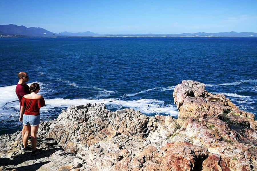 From Cape Town: 3-Day Garden Route Safari and Coastal Tour - Guides make or break the experience