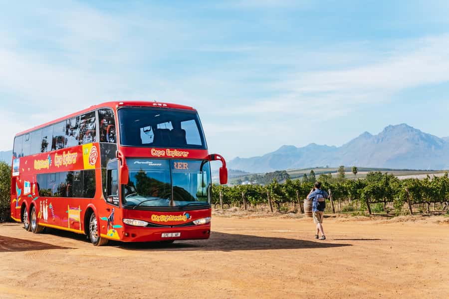 From Cape Town: 3 Regions Wine Tour with 3 Estates, 15 Wines - Key points at a glance