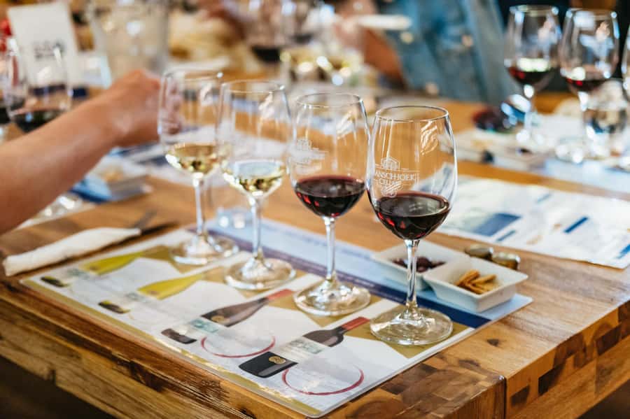 From Cape Town: 3 Regions Wine Tour with 3 Estates, 15 Wines - Early pickup from Cape Town