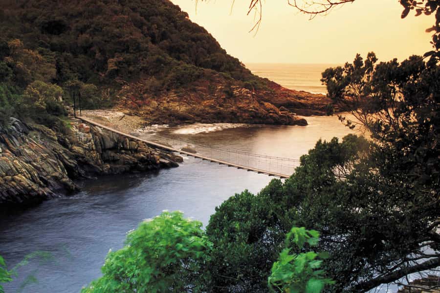 From Cape Town: 5-Day Best of Garden Route and Addo Safari - Key points at a glance