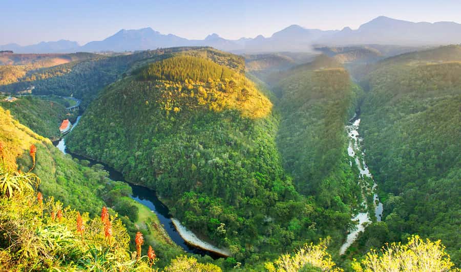From Cape Town: 5-Day Best of Garden Route and Addo Safari - What the $675 price really covers