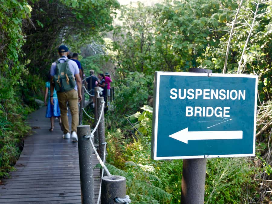 From Cape Town: 5-Day Best of Garden Route and Addo Safari - What kind of trip is this?