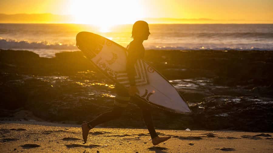From Cape Town: 5-Day Best of Garden Route and Addo Safari - Day 3: Addo Elephant National Park and Jeffreys Bay